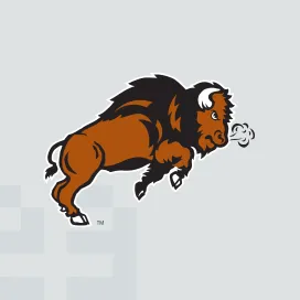 Ndsu bison 3